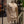 Load image into Gallery viewer, Les Deux Varsity Sweatshirt 215215 Ivory
