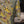 Load image into Gallery viewer, Pike Brothers 1947 Albert Shirt 400 Lanai Green (7867449213162)
